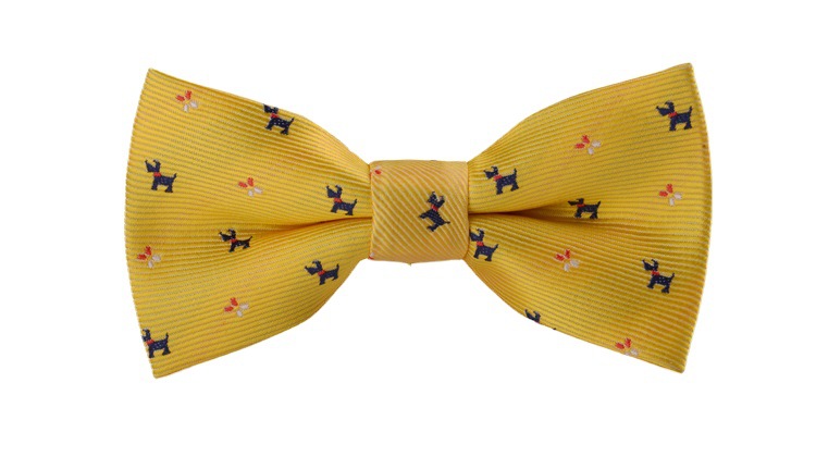 Children's bow tie