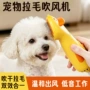 吹风造型电动猫狗毛梳
