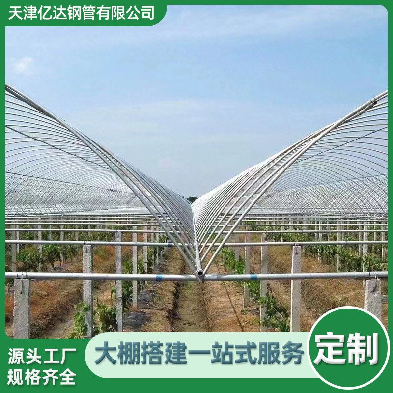 Integrated Greenhouse, Ground-Mounted Greenhouse, Vegetable Planting Greenhouse, Galvanized Steel Pipe Frame, Sunshade and Warming Greenhouse