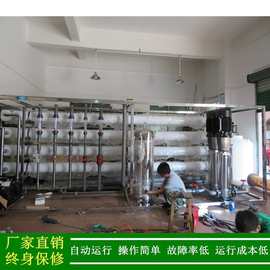 供应产水20吨大型反渗透设备20t/h纯水设备反渗透纯净水净化设备