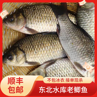 �|���a�~���r���~�F����ˮС���~���С�s�~�Юa�D���ӟ���