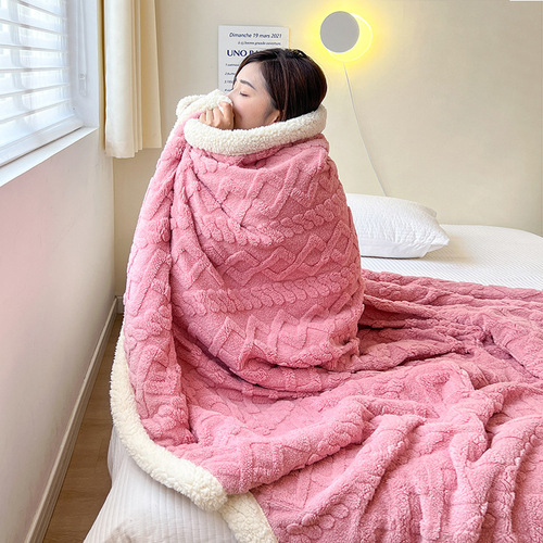 Amazon Lamb's Down Blanket Winter Thickened Warm Blanket Nap Blanket Taffeta Blanket Flannel Solid Color Cover Blanket
