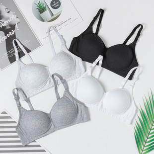 ��Ů���޳��и��ЌW���l���ڱ���͸��o�Ȧ���m�۔n�ļ����؃���