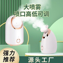 フェイススチーマー ホットスプレー 跨境 家庭用 顔の保湿 ナノスプレーヤー 水分補給器 美容機器 フェイススチーマー