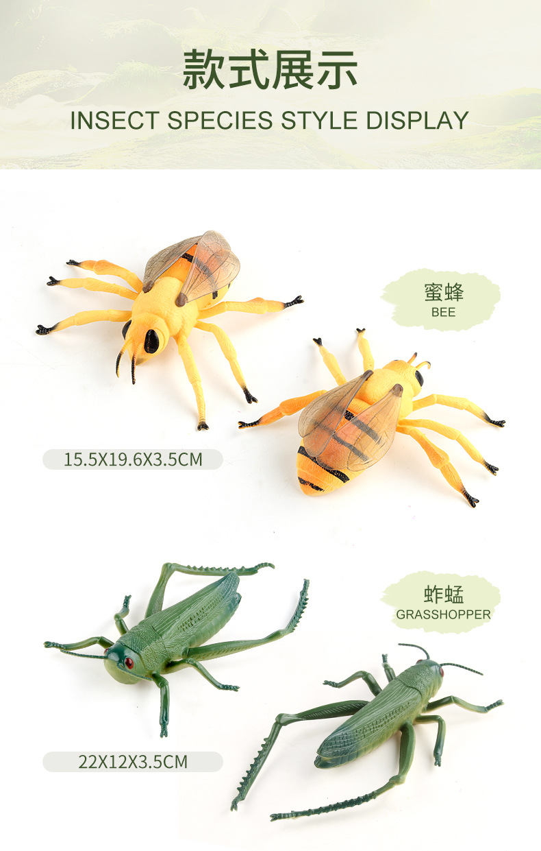 详情_04.jpg