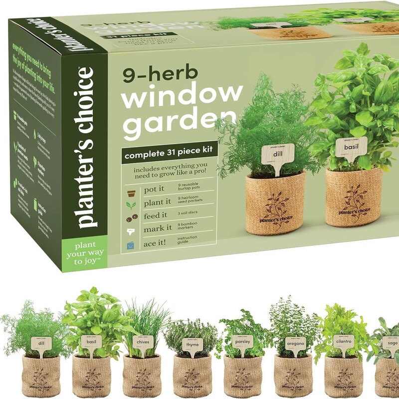 Amazon Kidsren's Adult DIY Observation Planting Scientific Plant Potted Indoor Balcony Garden Combination Kit.