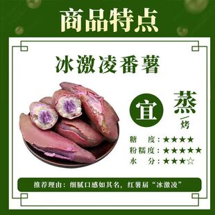 һ�c�t�������������