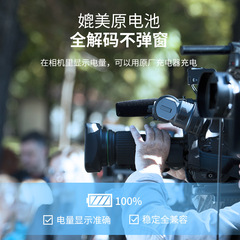 Battery suitable for Sony camera F550 F750 FM50 camera and flash light Battery