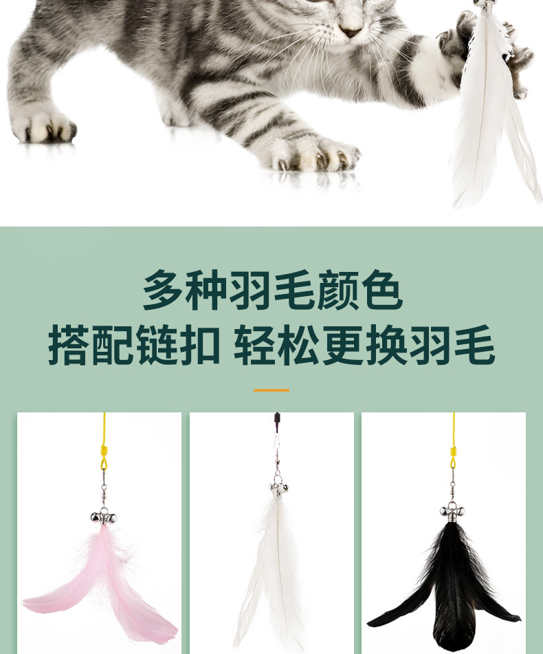 逗猫玩具