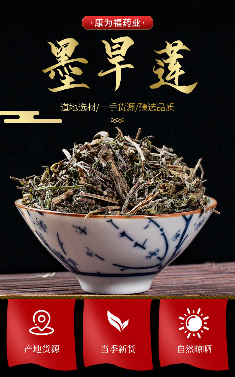 Mo Han Lian (Eclipta prostrata) — Dried Yerbadetajo Herb, Food-Herb Botanical for Tea & Soup overview