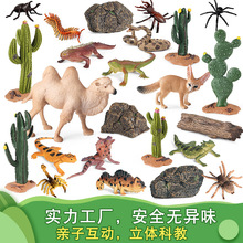 �������Є���ģ��ɳĮ��������β������������΢���^������b