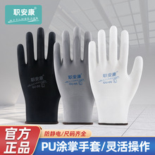���������T�z���׸ߏ�͸����ĥ��ָ�`������@�ֹ������o�����
