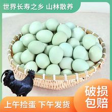 �r��G�����u����ɽɢ�B������r�F�l�ЋD���Ӟ��u����������