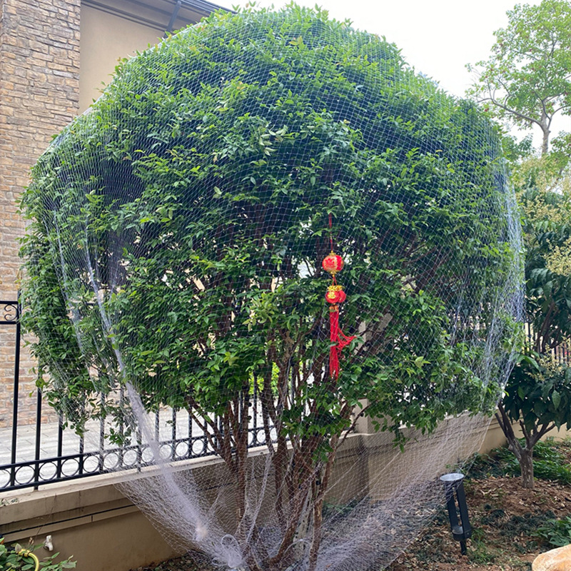 昌盈果树防鸟用的网农用防鸟丝网果园天网嘉宝果树防鸟罩厂家批发