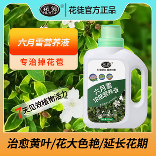 Special Concentrated Nutrient Solution for June Snow Household Green Leaf Plant Pot Flower Anti-Yellow Leaf General genuine goods Fertilizer