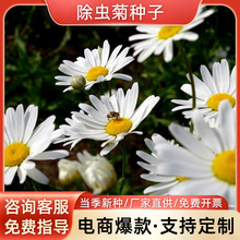 ɢbxշNӃ|׻xշNӳxݜþòݷNl