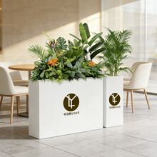 �����Fˇ����M���̘I����������M�ϻ������ȏd���Ʋ��P䓻���