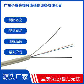 室内单模双芯室外1芯2芯4芯12芯皮线光缆G657A165A2光纤康宁光纤