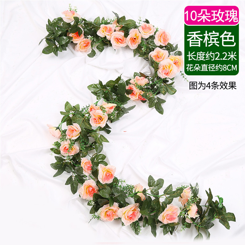 10개 - 샴페인 장미 1개