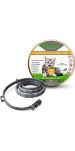 dog repellent for yard puppy flea and tick treatment dog flea collar