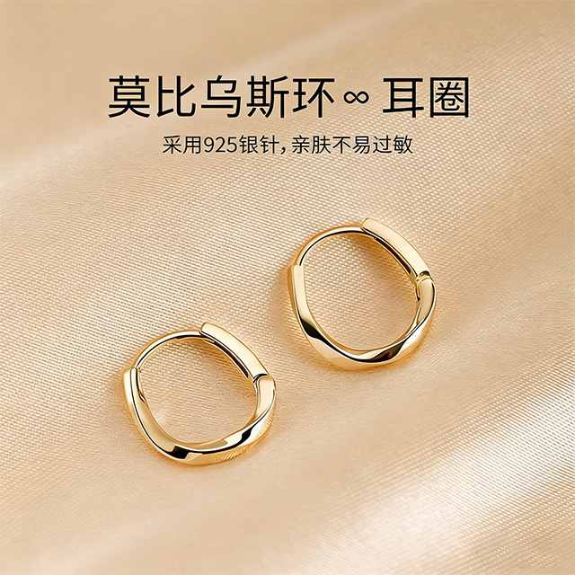925 Silver Mobius Hoop Earrings for Women, Light Luxury, High-End Feel, Ear-Friendly, Ear Studs, Ear Hoops, Elegant Ear Jewelry