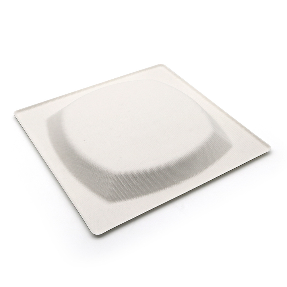 Shaogeng Oasis 21cm degradable compostable camping picnic protección del medio ambiente bagazo desechable placa cuadrada 500 unidades