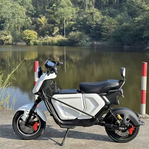 Ubpro Modifikasiya Edilmiş Elektrikli Motosikletlər, Uzun Mənzilli Çatdırılma Avtomobilləri