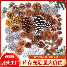 跨境松果创意手工diy材料森林干花天然松塔幼儿园圣诞装饰花瓣