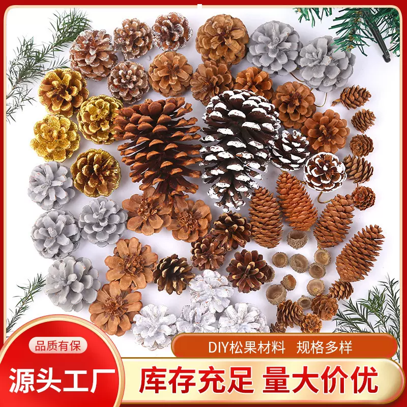 跨境松果创意手工diy材料森林干花天然松塔幼儿园圣诞装饰花瓣