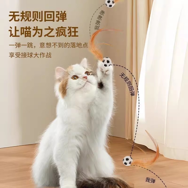猫のおもちゃの弾力ボールは羽の鶏の毛を持って猫の棒を笑わせます。|undefined