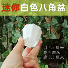 ����˽���4.5cm��ɫ�мܼӺ�����10���мܰ˽��������~��������