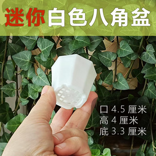 ����˽���4.5cm��ɫ�мܼӺ�����10���мܰ˽��������~��������