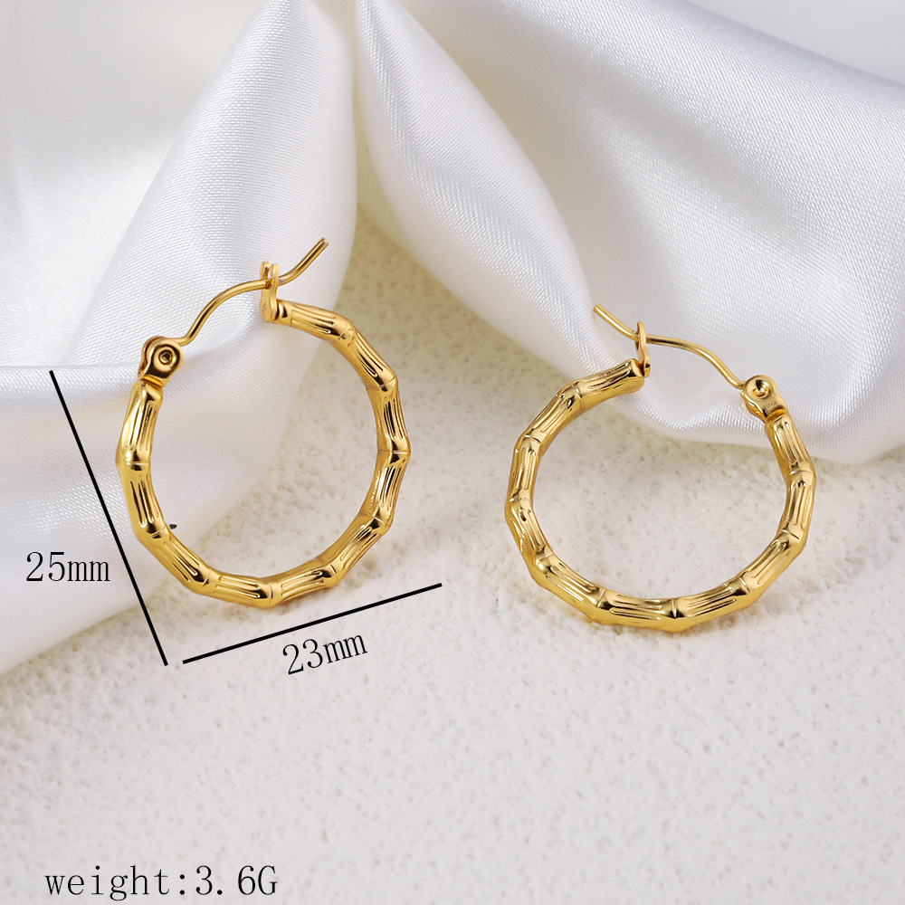 1 Pair Simple Style Commute Geometric Heart Shape Plating Titanium Steel Drop Earrings Earrings Ear Studs display picture 6