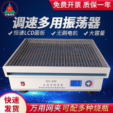 调速振荡器  数显回旋式振荡器  HY系列调速多用振荡器