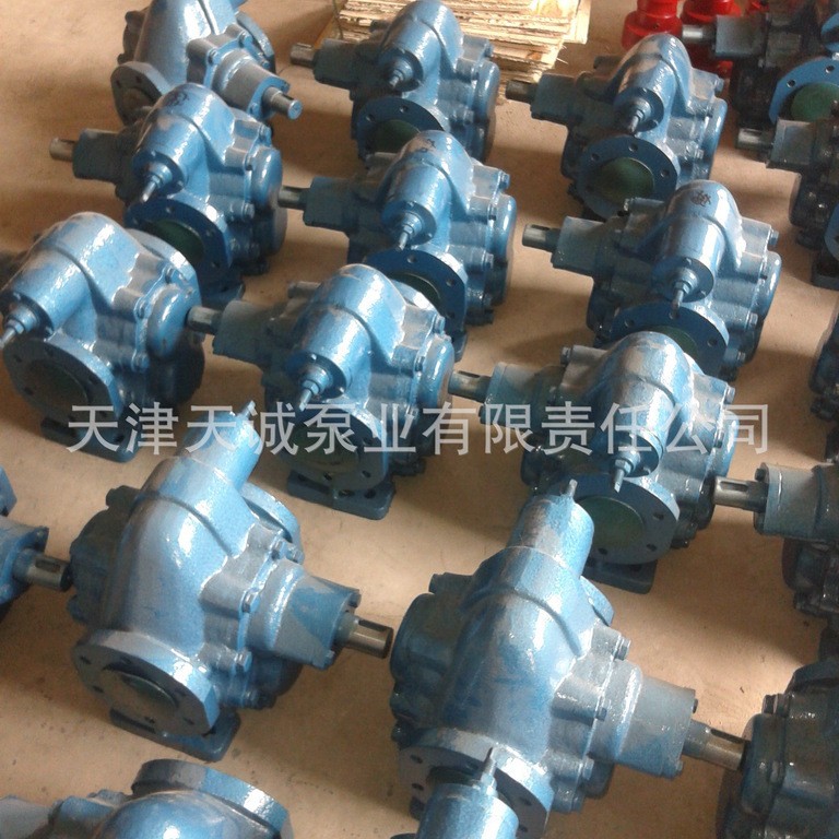 齿轮泵KCB483.3/不锈钢泵/船用泵/食品泵/铜轮泵/人字齿泵