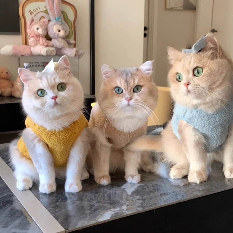 Pet Clothes fleece-lined Thickened Panda Cat Schanery Teddy Dog Cat Universal Anti-Wool Vest