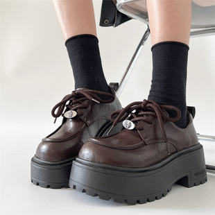 Fashionable British Style Thick-Soled Small Leather Shoes for Women 2025 New Autumn and Winter with Skirts Versatile French Mary Jane Shoes