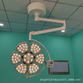 医疗灯具;个人护理电器;康复理疗设备