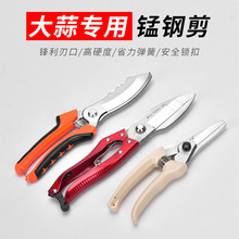 �r�ù����¿����[���^�����i䓏�������pɫֱ����������߲˼�