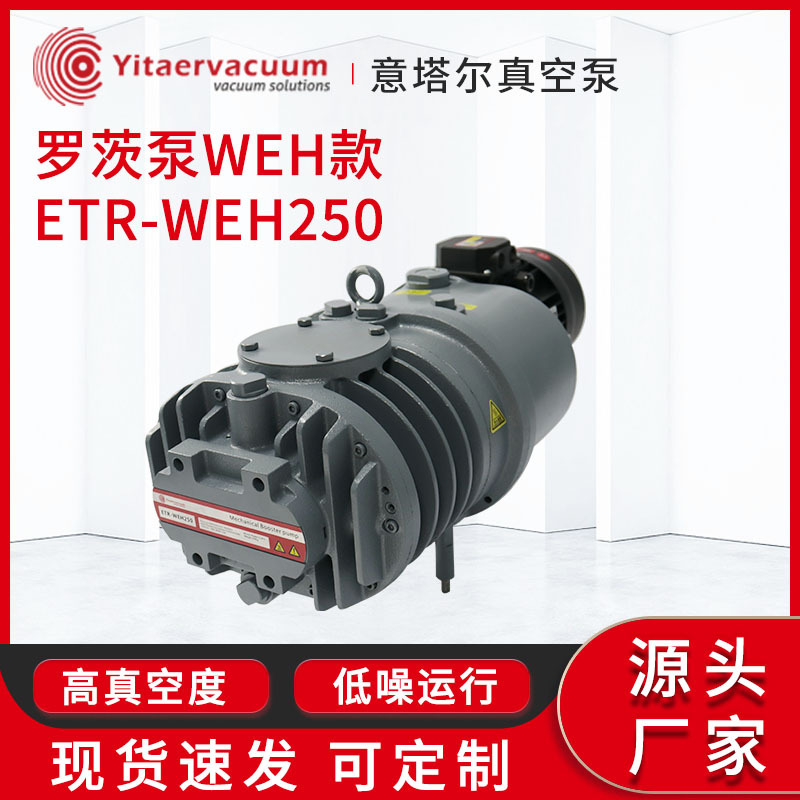罗茨真空泵现货 罗茨泵WEH款ETR-WEH250自然风冷工业真空机厂家