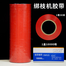 ��֦�C��ӽ�����������������t���S�ϽY���C�����C�z�����