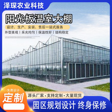 阳光板连栋连体大棚骨架蔬菜花卉种植养殖智能玻璃温室智能温室