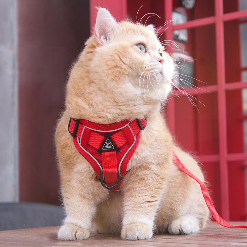猫牽引ロープ、外出時の離脱防止、猫リード、ペットハーネスチェーン、調節可能なネット有名人の猫散歩|undefined