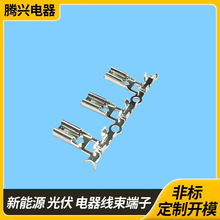 ���a����̩��187����ĸ�˲�ɶ���4.8mm���˲����܇�Ӿ��~����