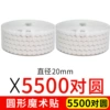 White, 20mm, 5500 pair