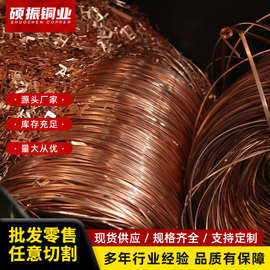 T2纯紫铜丝 紫铜线 红铜导电铜线 细铜丝0.5 0.8 1 2 3 4 5mm