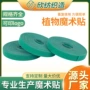 背靠背自粘植物定制粘扣带