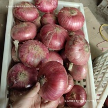 ���[���u��ɽ�|���t���[����֭���rˮ�����[��������������خa