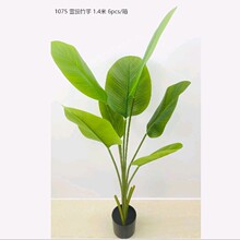 �������˽�����ѩ�������Ž��䱱�W�L�Ҿ��b������ÔzӰ����