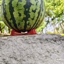 ����r�÷����йϹ��ܹϹ���r�����������м܉|�@ˇ�бP��ͥ�@ˇ